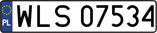 WLS07534
