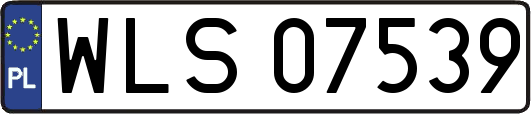 WLS07539