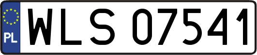 WLS07541