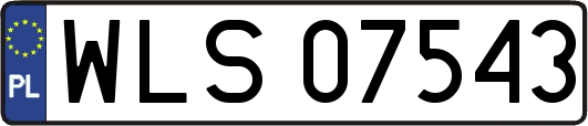 WLS07543