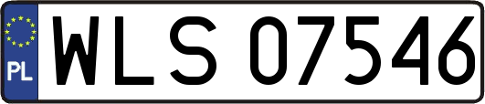 WLS07546