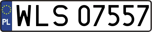 WLS07557