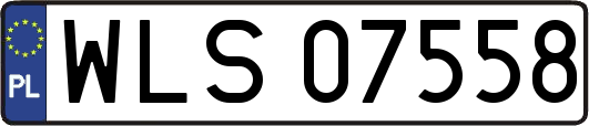 WLS07558