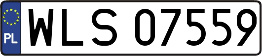 WLS07559