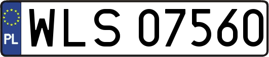 WLS07560