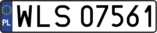 WLS07561