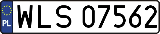 WLS07562