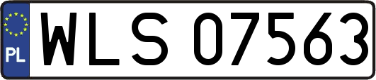 WLS07563