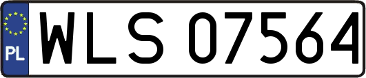 WLS07564