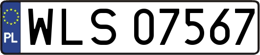 WLS07567
