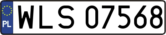 WLS07568