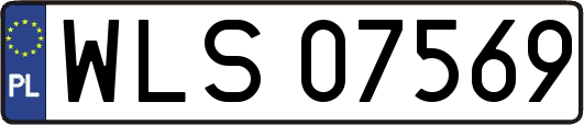 WLS07569