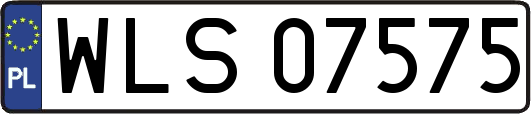 WLS07575