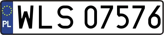 WLS07576