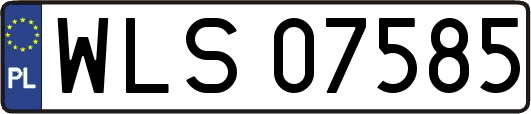 WLS07585