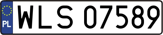 WLS07589