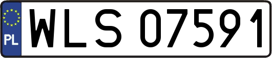 WLS07591