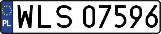 WLS07596