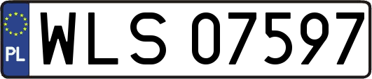 WLS07597