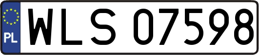 WLS07598
