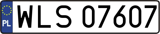 WLS07607