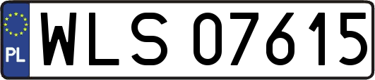 WLS07615