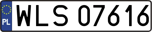 WLS07616