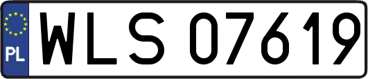 WLS07619