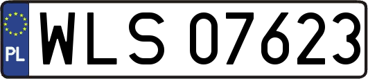 WLS07623