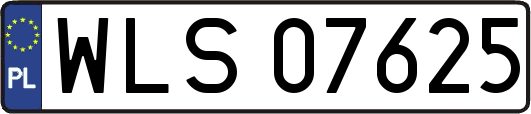 WLS07625
