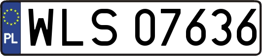 WLS07636