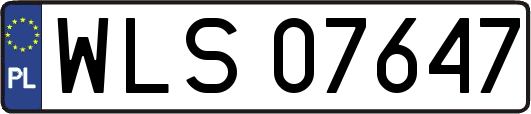 WLS07647