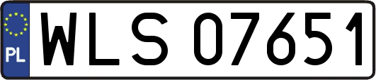 WLS07651