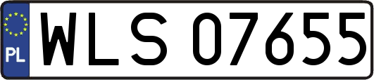 WLS07655