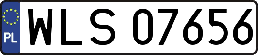 WLS07656