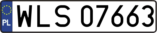 WLS07663