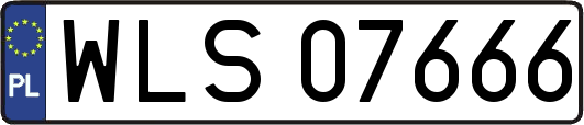 WLS07666