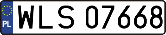 WLS07668