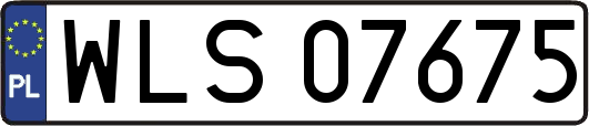 WLS07675