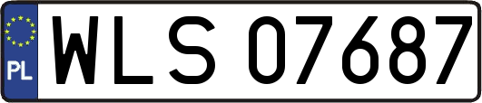 WLS07687