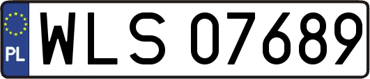 WLS07689