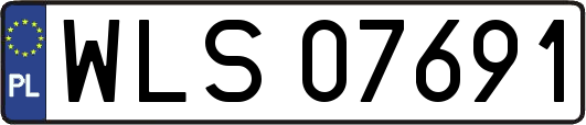 WLS07691