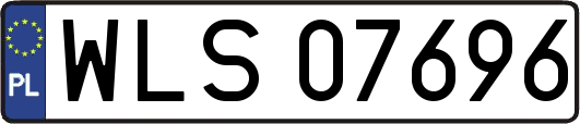 WLS07696