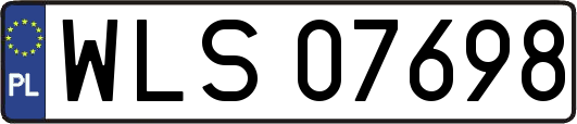 WLS07698
