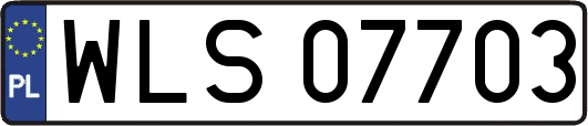 WLS07703