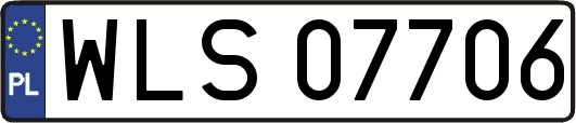 WLS07706