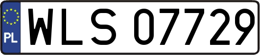 WLS07729