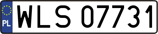 WLS07731