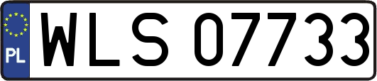 WLS07733