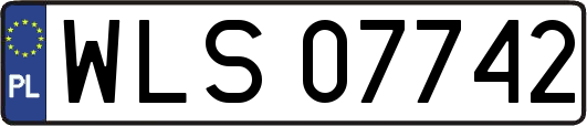 WLS07742